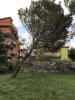 Allegato 8927