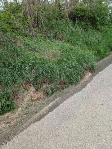 Strada con frane