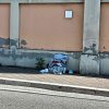 Allegato 20124