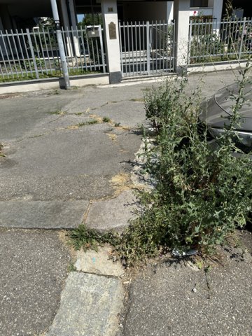 strada pedonale