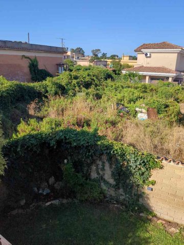 Area incolta