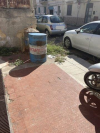 Allegato 20586