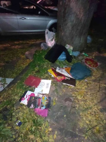 Richiesta ritiro indifferenziata