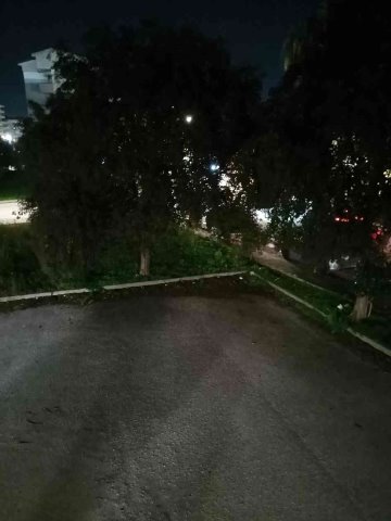 Segnalazione guasto illuminazione pubblica - Parco delle Magnolie