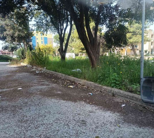 Segnalazione urgente: stato di degrado e incuria area verde in via Carmine Turco.