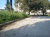 Allegato 21017
