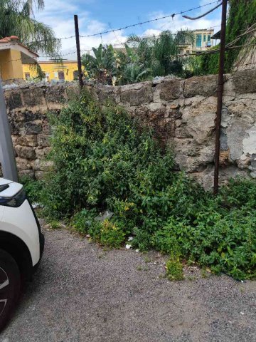 erbacce, rete metallica abbandonata