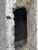 Allegato 21119