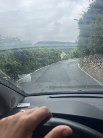 piante che impediscono la visuale