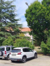 Allegato 21235