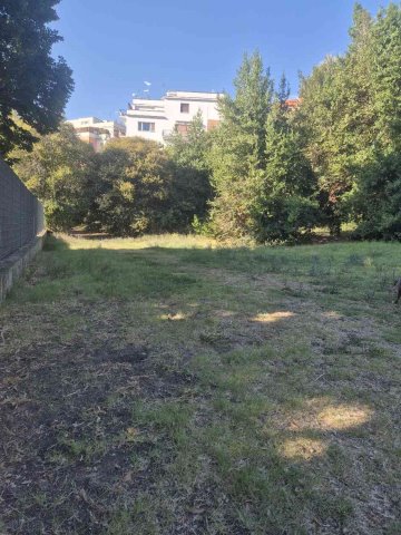 Richiesta intervento - Parco Villa Veschi (Primo ingresso da Via Scaduto)