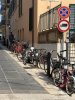 Allegato 21330