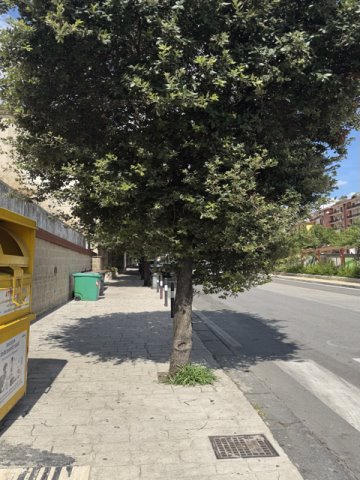 degrado urbano